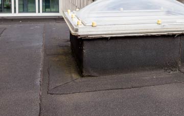 disadvantages of Chiselborough flat roofs