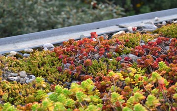 the cost of Chiselborough green roof installation