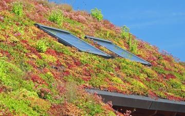 Chiselborough living roof systems