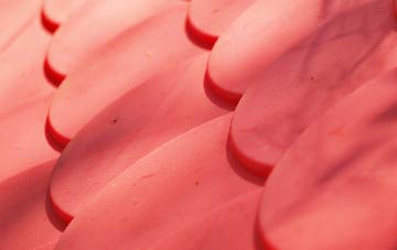 Chiselborough plastic roof costs